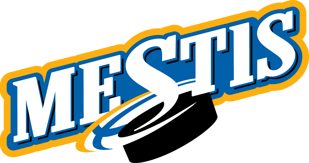 Mestis 2000-2015 Primary Logo iron on transfers for clothing